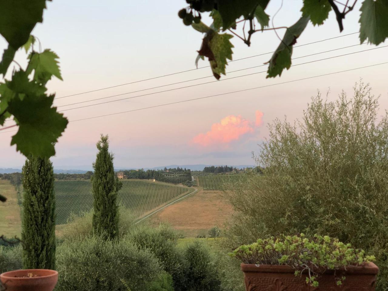 Agriturismo L'Olmo San Gimignano Exteriör bild